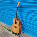 Tanglewood TW10 Electro Acoustic Dreadnought Solid Top Guitar