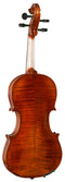 Hidersine Piacenza Violin Outfit