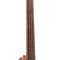 Gold Tone M-Bass25FL 25-Inch Scale Fretless Acoustic-Electric MicroBass with Gig Bag