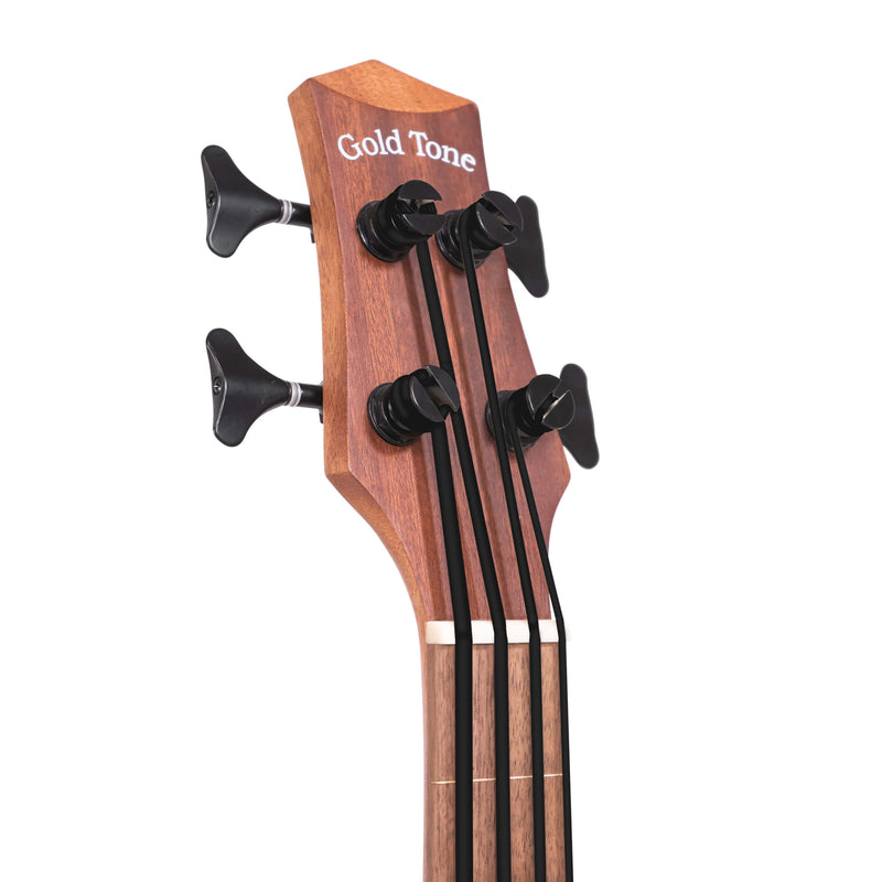 Gold Tone M-Bass25FL 25-Inch Scale Fretless Acoustic-Electric MicroBass with Gig Bag
