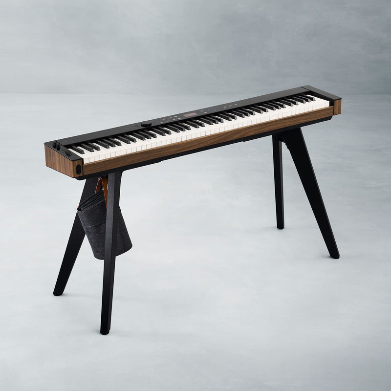 Piano 2025 stand casio