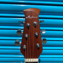 Applause Electro Acoustic AB242S