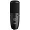 AKG P120 Large Diaphragm Condenser Microphone