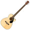 Fender Electro Acoustic Bass