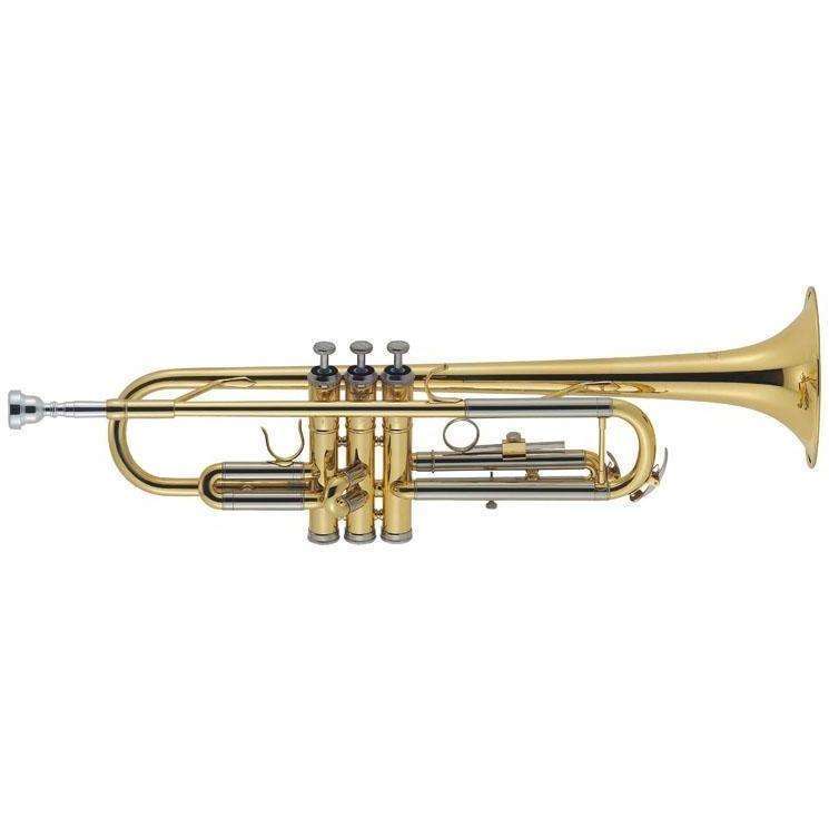 J. Michael Bb Trumpet Outfit (Gold Lacquer finish)