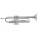 J. Michael Silver plated Bb Trumpet outfit