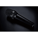 Lewitt MTP 250 DM/DMs  Microphone