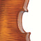 Primavera Loreato Violin Outfit