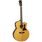 Tanglewood TW55 H B Electro-Acoustic Guitar