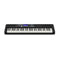 Casio - CTS500 61 note Touch Sensitive Keyboard