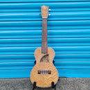 Eddy Finn Swamp Ash EF 50C Concert Ukulele