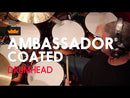 Remo Ambassador Coated Drum Heads