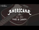 Art & Lutherie - Americana Solid Top Dreadnaught Acoustic Guitar