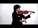 D'Addario Prelude Violin String Sets