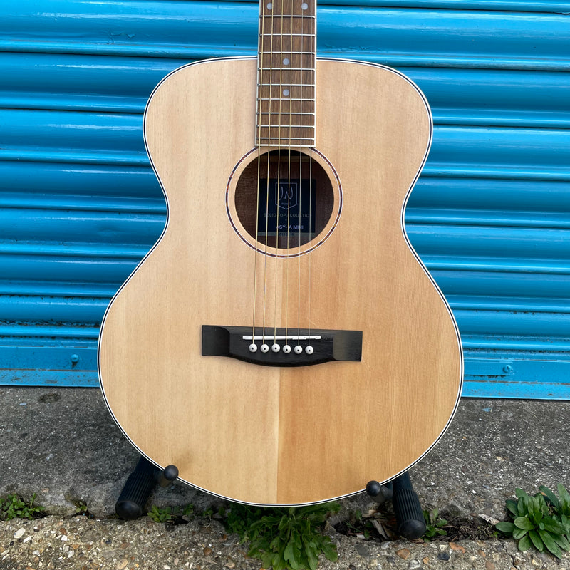 James Neligan Asy-A Mini Traveler Acoustic Guitar