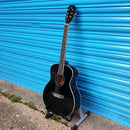 James Neligan BES-A Mini Solid Top Travel Acoustic Guitar