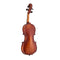 Primavera P200 Violin Outfit (Antiqued)