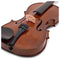 Stentor Student II Violin Outfit
