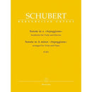 Schubert: Sonata In A Minor (Flute and Piano)