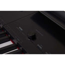 Soundsation Primus 88 note weighted key Digital Piano